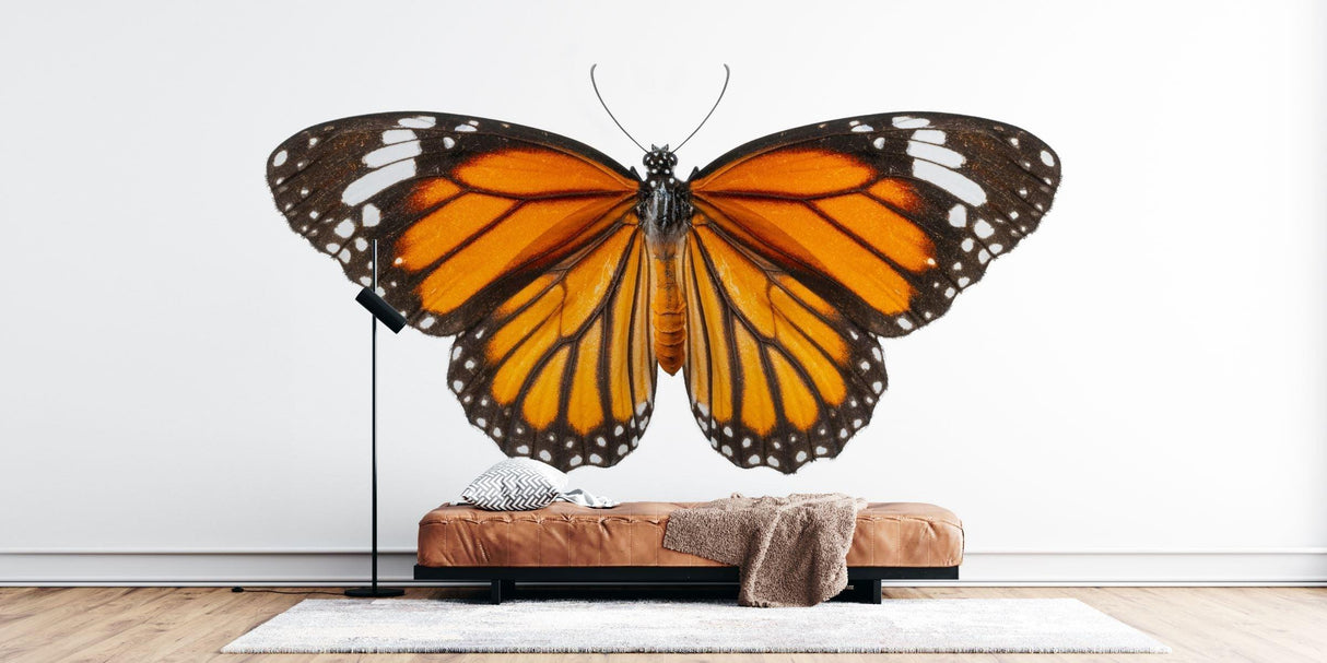 Butterfly Mural Wallpaper | Monarch Orange and Black Design