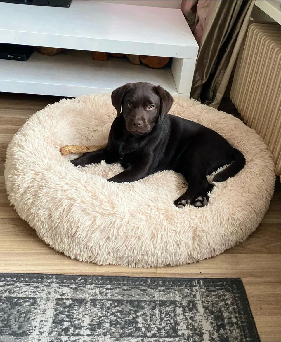 Plush Round Dog Bed  Ergonomic Support for All Breeds - Product detail 4