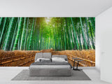 Bamboo path mural creating a focal point in a contemporary dining room
