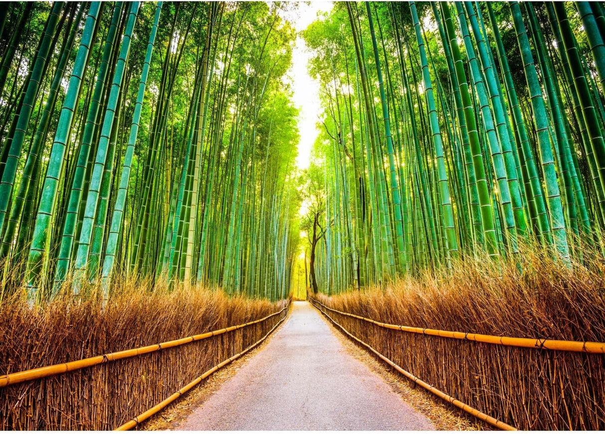 Zen bamboo forest mural enhancing a spa-like bathroom retreat