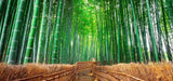 Bamboo forest design file showing detailed Japanese garden path pattern