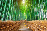 Bamboo forest design file showing detailed Japanese garden path pattern
