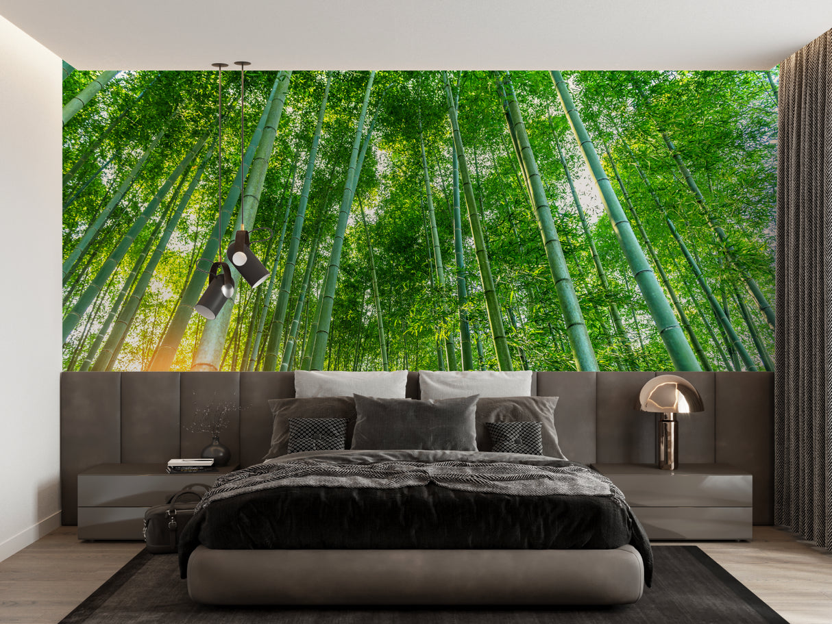 Bamboo forest wallpaper creating zen atmosphere in modern living room with natural light