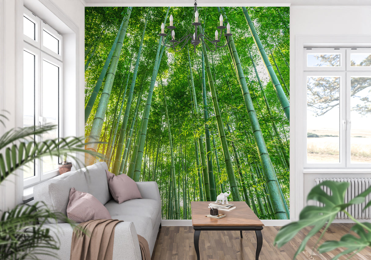 Zen bamboo wallpaper making dining room feel taller and more peaceful