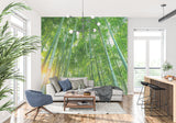 Bamboo forest wall mural adding natural elegance to bedroom space
