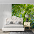 Bamboo forest wallpaper in modern living room creating zen atmosphere with tall green stems