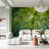 Japanese bamboo mural in meditation room with natural light