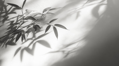 Bamboo shadow wallpaper design file showing detailed black and white botanical pattern