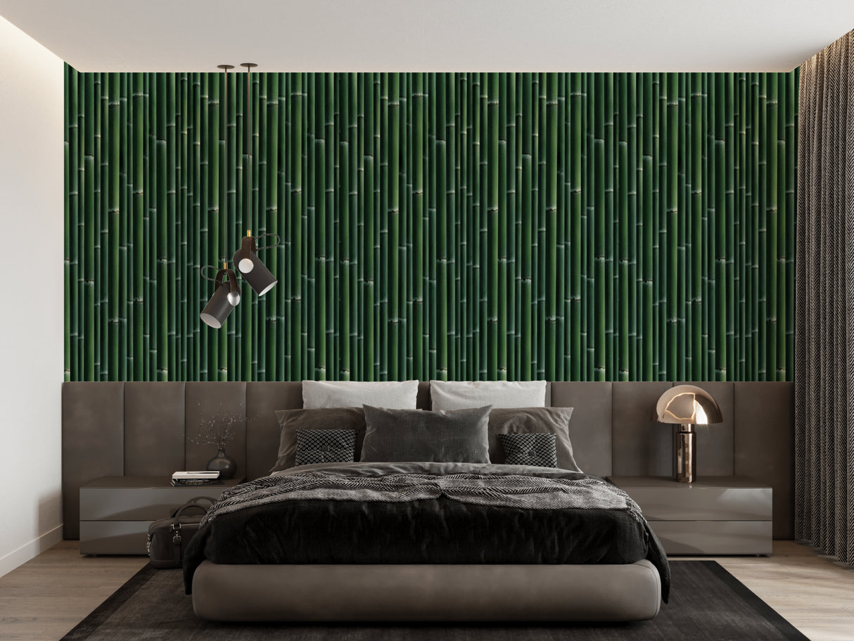 Bamboo wall mural creating a serene atmosphere in a modern living room with natural light