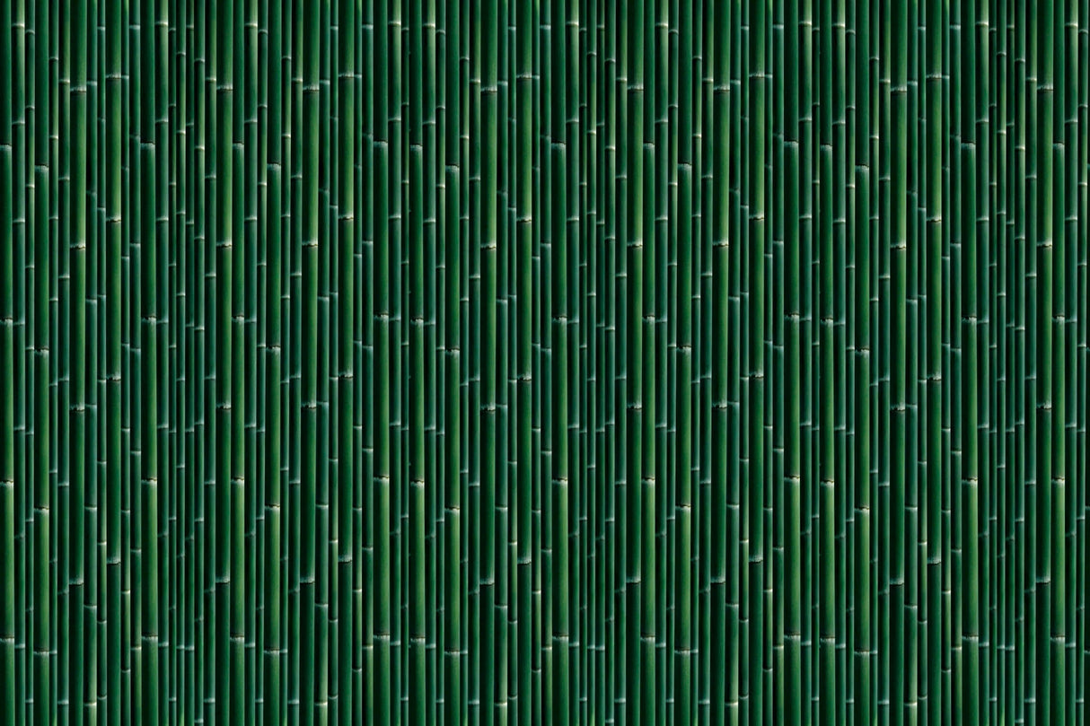 Design file showing detailed bamboo pattern with rich emerald tones and natural textures