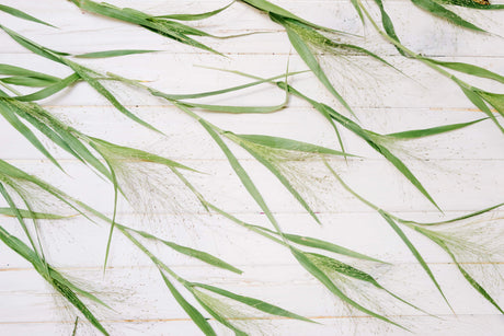 Bamboo leaf wallpaper design file showing detailed green leaves on white background