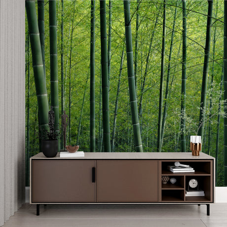 Bamboo forest wallpaper creating zen atmosphere in modern living room