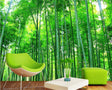 Bamboo forest wallpaper creating a zen atmosphere in a modern living room