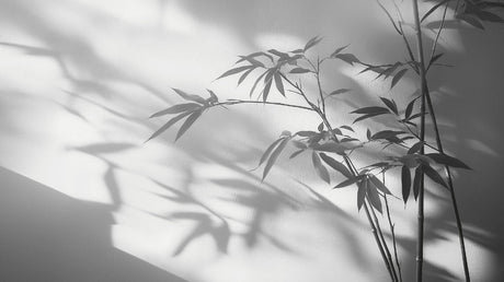 Black and white bamboo shadow art design file showing detailed leaf patterns and light play effects