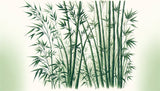 Bamboo forest design file showing detailed emerald stalks and misty background pattern