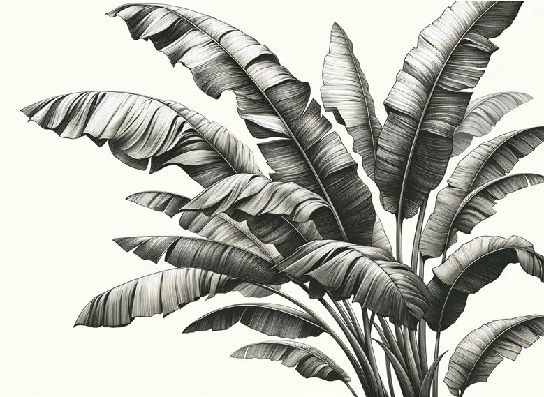 Detailed black and white botanical banana leaf pattern design file showing intricate line work and shading