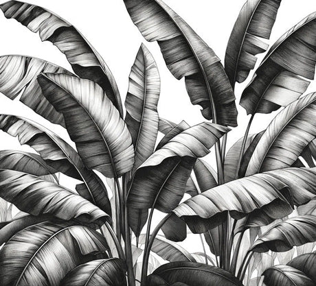 Black and white banana leaf pattern design file showing detailed botanical illustration
