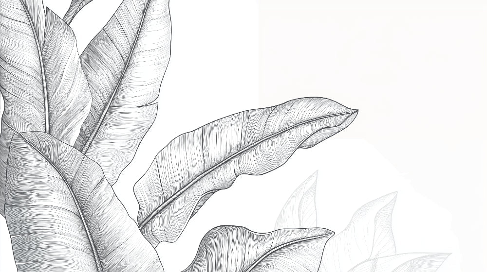 Minimalist black and white banana leaf pattern design file showing detailed line art illustration
