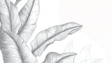 Minimalist black and white banana leaf pattern design file showing detailed line art illustration