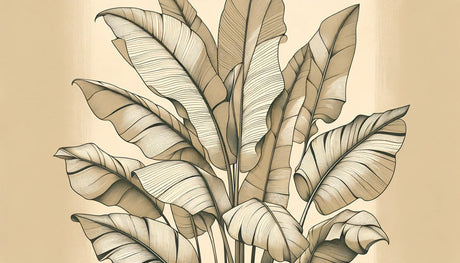 Botanical line art design file showing detailed banana leaf pattern in beige tones