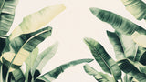 Tropical banana leaf wallpaper design file showing detailed green foliage pattern on white background