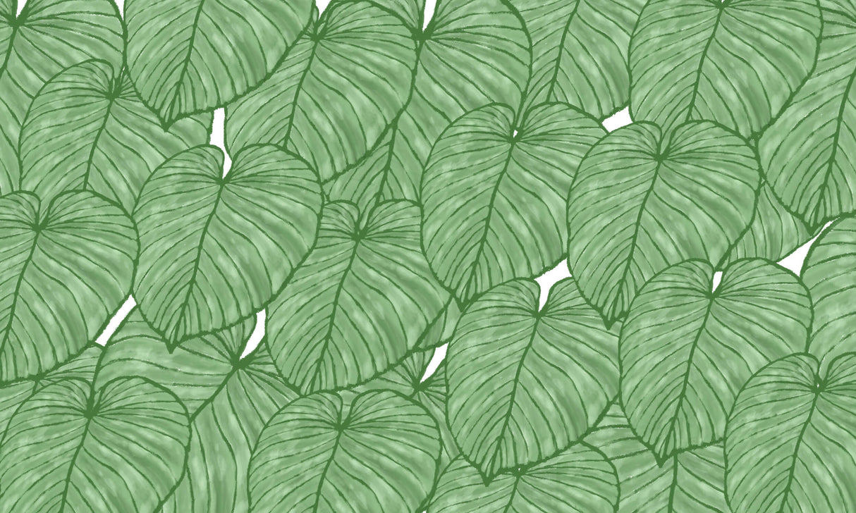 Monstera Mural Wallpaper | Tropical Green Leaf Pattern