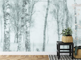 Forest Mural Wallpaper | Misty Birch Trees in Black and White