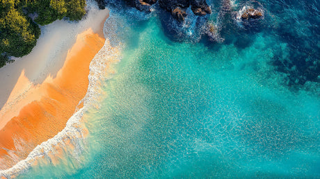 Beach aerial view design file showing turquoise waters meeting golden sand from above