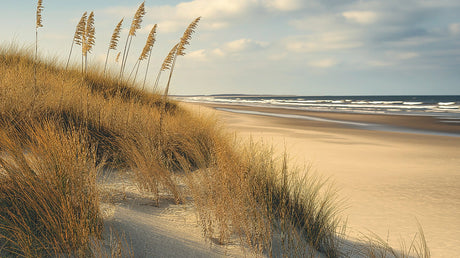 Beach mural wallpaper design file showing detailed coastal dunes and ocean pattern