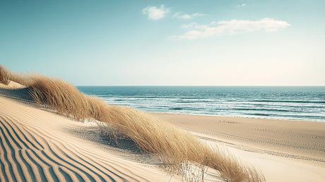 Beach wallpaper design file showing detailed sand dunes and ocean pattern