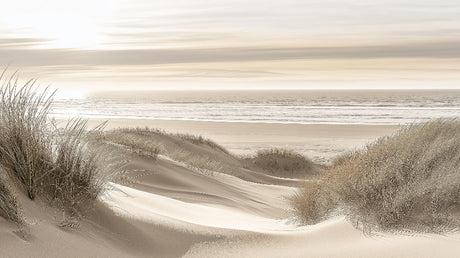 Coastal sand dunes at dawn design file showing detailed texture and neutral color palette