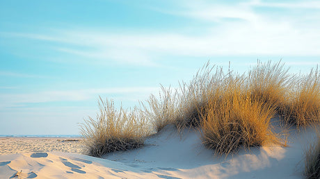 Beach mural wallpaper design file showing detailed golden grass and sand dune pattern