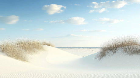 Beach mural wallpaper with coastal sand dunes shown in a bright modern living room, creating a serene atmosphere