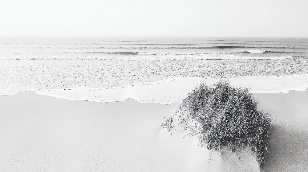 Minimalist beach scene design file showing detailed wave patterns and coastal elements in monochrome
