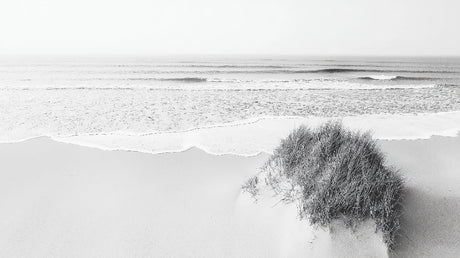 Minimalist beach scene design file showing detailed wave patterns and coastal elements in monochrome
