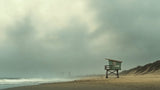 Misty shore beach wallpaper design file showing full pattern with moody sage-green skies and golden sands