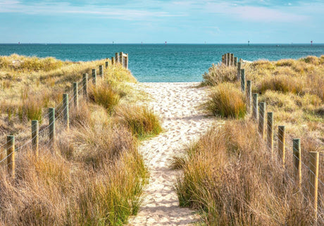 Beach path to turquoise ocean design file showing full wall mural pattern