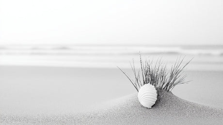 Minimalist seashell and grass design file showing intricate details and textures
