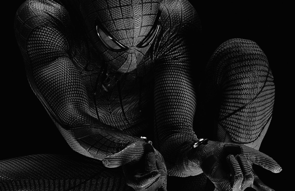 Spiderman Mural Wallpaper | Black Textured Design