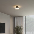 Modern LED Ceiling Light  Glass Disc Design With Halo Effect - Product showcase