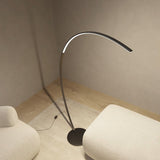 Modern LED Arc Floor Lamp  Minimalist Design with Smart Controls - Detailed view