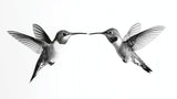 Hummingbird wallpaper design file showing detailed black and white pattern