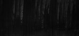 Black wood grain wallpaper design file showing detailed texture pattern