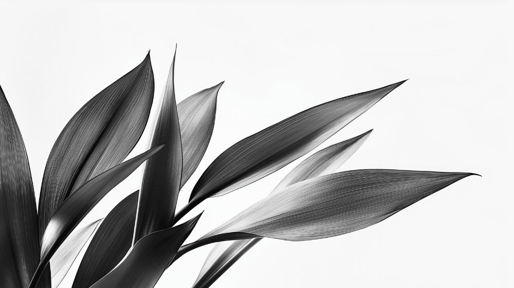 Black and white botanical leaf wallpaper design file showing detailed leaf pattern and texture