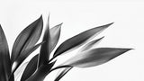 Black and white botanical leaf wallpaper design file showing detailed leaf pattern and texture