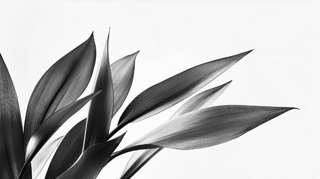 Black and white botanical leaf wallpaper design file showing detailed leaf pattern and texture