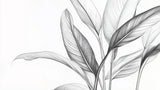 Black and white botanical wallpaper design file showing detailed leaf pattern and textures