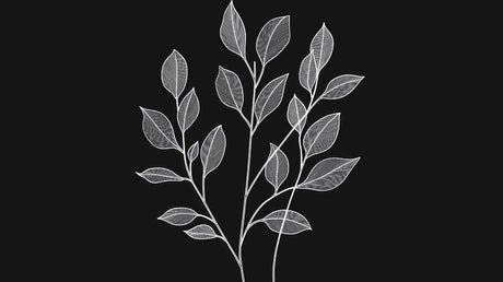 Botanical line art wallpaper design file showing intricate black and white leaf pattern