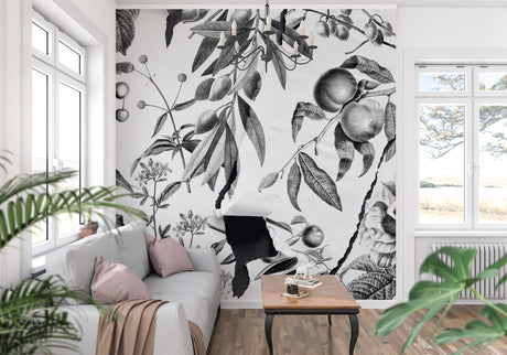 Botanical wall mural creating an elegant dining room feature wall with black and white vintage fruit design