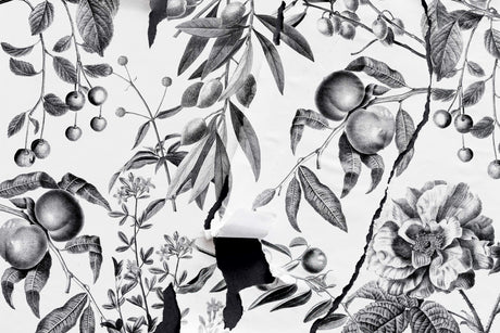 Design file showing detailed black and white vintage botanical fruit pattern